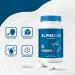 AlphaCur Capsules Official Nutritional Support for Nerve Health All Natural AlphaCur Pills for Healthy Nerves Premium Alpha Cur Pastillas Review (60 Capsules) - Buy Online on GoSupps.com