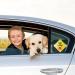 Cobee Baby on Board Car Warning Signs 2 Pcs - 5x5 Safety Sign with Double Suction Cups - Reusable Baby in Car Sticker for Window - Durable Decal (Style-E) - Buy Online on GoSupps.com