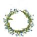 Dazzling Flower Crown Halo for Women Girls - Bridal Eucalyptus Wedding Headband - Buy Online on GoSupps.com