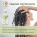 Hair Growth Shampoo | Anti-Hair Loss Solution for Men & Women | Rosemary Mint & Tea Tree Oil | 11.8 fl. oz - Buy Online on GoSupps.com