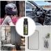 Car Windshield Oil Film Cleaner - 3.38oz Glass Stripper Water Stains Remover | Front Windshield Cleaning Balm with Sponge for Bird Droppings - Buy Online on GoSupps.com