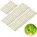 Ear Studs Stick Traditional Ears Stick 50pcs Tea Stud Earrings Natural Maintenance Portable for Inflammation Prevention - Buy Online on GoSupps.com