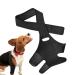 Dog Knee Brace | Dog Hip Dysplasia Brace with 10 Support Sticks - Comfortable Hip and Leg Protector Breathable for Small Senior and Disabled Dogs