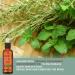 Haitian Black Castor Oil for Hair Growth with Rosemary Mint 3.4oz - Kreyol Essence - Buy Online on GoSupps.com