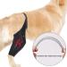 Pet Leg Injury Brace - Dog Knee Support Dog Leg Protector | Rear Legs Hock Brace Back Leg Hip Support with Metal Strip High Elasticity Leg Stabilizer Dog Leg Recovery Brace for hindd Leg Injuries - Buy Online on GoSupps.com