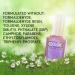Color Club Nail Lacquer Halo Hues Eternal Beauty Number 999 15 ml - Buy Online on GoSupps.com