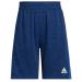 adidas Boys' Active Sports Athletic Short X-Large Team Royal Blue With Black Mlange