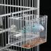 SETCO Automatic Bird Feeder No Mess Bird Cage Pet Feeder Seed Food Container for Parakeet Canary Cockatiel Parrot Finch Canary Acrylic Small