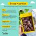 Joolies Organic Whole Medjool Dates | 2 lb Bulk Box | Fresh California Grown | Vegan, Gluten-Free, Paleo | No Sugar Added | Perfect Holiday Gift | Pack of 1 - Buy Online on GoSupps.com