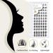 Buy BQ Lash Single Eyelash Clusters - Colored DIY Eyelash Extensions (B41 B02 B09) - 72 Individual Lashes for Home Use - Buy Online on GoSupps.com