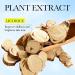 Licorice Root Extract for Skin - Licorice Root Serum Licorice Root Oil Drops Moisturizing Face Oil Licorice Root Extract Anti-Shrinking Pores Face Oil (2Bottle) - Buy Online on GoSupps.com