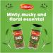 Schwartz Sage 10g: Aromatic and Flavorful Herb for Culinary Delights - Buy Online on GoSupps.com