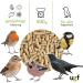 UGF Premium Suet Pellets with Mealworms - All-Year Round Wild Bird Food for Optimal Nutrition - Buy Online on GoSupps.com