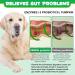 Oimmal Probiotics for Dogs Gut Health - 30pc Digestive Treats for Dog Support Seasonal Allergies Itchy Ears Dog Probiotic Supplement Soft Chews Improve Pet Immune System Dogs - Duck Flavour - Buy Online on GoSupps.com