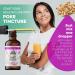 Pokeweed Tincture 2 fl oz - Organic Poke Extract in Vegetable Glycerin | Non-GMO Dried Root Supplement by Florida Herbs - Buy Online on GoSupps.com