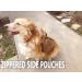 JiePai Dog Backpack Harness for Medium Large Dogs - Coyote Brown Saddle Bag Rucksack with Pockets | Hiking Vest Pack - Buy Online on GoSupps.com