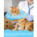 Woiworco Adjustable Cat Recovery Collar - Cute Donut Design - Soft Cone for Wound Healing - Elizabethan Collar for Cats - Medium Blue - Buy Online on GoSupps.com