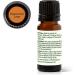 Plant Therapy Peppermint Latte Essential Oil Blend 10mL - Energizing Coffee & Mint Aroma - Buy Online on GoSupps.com