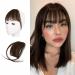 BARSDAR Clip in Fringe Human Hair 100% Real Hair Fringe Extensions Clip in French Bangs Fringe with Temples Clip on Fringe Bangs Real Hair Pieces for women Natural Color Washable/Dye-able 4# Air Bangs (Pack of 1) 4# Brown