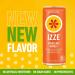 Izze Sparkling Mango Juice Beverage 8.4 Fl Oz 24 Pack - Refreshing and Delicious - Buy Online on GoSupps.com