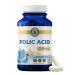 Vykee Nutrition Folic Acid Capsules - Supports Body Processes Prenatal Health and Energy - Vitamin B9 Supplement for Women - Vegan Non-GMO Gluten Free - 1100 mcg 120 Count