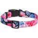 Suredoo Adjustable Soft Nylon Dog Collar for Small & Medium Dogs - Pink Flower Design Comfort Fit (M: 33-55 cm Neck) - Buy Online on GoSupps.com