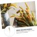 Ciieeo 3pcs Simulated Ears of Corn Artificial Wheat Ears Stalks Thanksgiving Decorations Wheat Home D cor Fall Decor Artificial Plants Simulation Wheat Ears Household Fake Grass Iron Greenx3pcs 12X75CMx3pcs - Buy Online on GoSupps.com