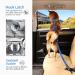 IOKHEIRA Adjustable Dog Seat Belt for Car - Universal Plug & Locking Bar - Ocean Blue - Safe Travel for Dogs - Buy Online on GoSupps.com