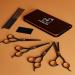 Dog Grooming Scissor Kit - Thinning, Curved, Straight Edge Scissors Set for Pet Grooming - Buy Online on GoSupps.com