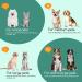 Nobleza Inflatable Protective Collar for Dogs & Cats | Adjustable Comfortable Recovery Collar for Post-Surgery & Injuries | Velcro Fastener | Gray (S) 6-10inch - Buy Online on GoSupps.com