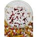 Simway Sweets Jar 845g - Coconut Long Boys - American Sweets - Approximately 77 Pieces - Buy Online on GoSupps.com