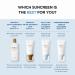 SKIN1004 Hyalu-CICA Water-Fit Sun Serum 1.69 fl. oz (50ml) - Hydrating Formula for Sensitive Skin [No White Cast] - Buy Online on GoSupps.com