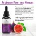 Fig Seed Oil | 100% Organic Ficus Carica | Cold Pressed Carrier Oil for Face Hair & Body | Essential Aromatherapy Moisturizer | 30ml - Buy Online on GoSupps.com