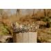MR Mcrown Baroque Queen Crown for Women - Rhinestone Wedding Crown & Tiara for Costume Parties - Vintage Hair Accessory with Gemstones (Multicolor) - Buy Online on GoSupps.com