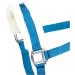 RL24 Halter with Plush Padding - BASICLINE in 6 Colors for Shetty Pony Thoroughbred Warmblood | Turquoise Shetty - Buy Online on GoSupps.com