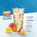 Best Body Nutrition Vital Drink Zerop - Brazilian Sun - Sugar-Free Beverage Concentrate (1L) - Makes 80 Liters - Buy Now! - Buy Online on GoSupps.com