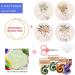Santune 4 Pack Embroidery Kit for Beginners - DIY Cross Stitch Kits for Adults with Patterns, Instructions, Clothes, Hoops, Threads, and Needles - Buy Online on GoSupps.com