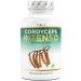 Cordyceps mushroom - 180 capsules with 650 mg of real CS -4 extract - 40% bioactive polysaccharides - laboratory test - high -dose - caterpillar mushroom - vegan