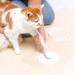 Pearhead Pet DIY Pawprints Keepsake Kit - Silver Ribbons Pawprint Ornament for Dogs or Cats - Buy Online on GoSupps.com