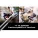 Interwell Space Tartar Remover for Dogs | Stainless Steel Dental Tool & Kausnack Alternative | Effective Tartar Cleaner for Pets - Buy Online on GoSupps.com