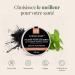 SFB Laboratoires - Whitening Charcoal Powder - Activated Vegetable Charcoal for White Teeth - Oral Hygiene - Activated Vegetable Charcoal + Organic Peppermint - 100 Grams - Buy Online on GoSupps.com