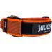 Julius-K9 Color & Gray Collar with Handle Safety Lock & Interchangeable Patch 40mm (38-53cm) - Orange Gray - Buy Online on GoSupps.com