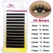 Self-Fermenting Volume Eyelashes | Easy Fan Lashes | D Curl 0.05mm 8-14mm | 12 Row Light-Fanning Eyelash Extensions - Buy Online on GoSupps.com