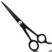 Focus World Uk FocusWorld Professional Hairdressing Scissors 6.5 Inch Black 1 count 1 Count (Pack of 1) Black