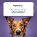 Burns Pet Natural Nutrition Adult & Senior Wet Dog Food Wild Fish Carrots & Organic Brown Rice 6 x 395gm 395 g (Pack of 6) - Buy Online on GoSupps.com