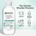 Garnier Micellar Water with Salicylic Acid, All-in-1 Mattifying Facial Cleanser and Makeup Remover for Oily and Acne Prone Skin, 13.5 Fl Oz Unscented 13.5 Fl Oz (Pack of 1) - Buy Online on GoSupps.com