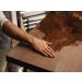 Walrus Oil Furniture Oil & Polish Bundle | Restore & Protect Wood Surfaces | International Shipping - Buy Online on GoSupps.com