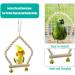 Chikanb 8-Piece Parrot Play Set | Colorful Wooden Bird Toys for Budgies Lovebirds and Parrots - Ideal for All Bird Types - Buy Online on GoSupps.com