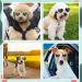Lewondr UV Safety Sunglasses for Small Dogs - Heart-Shaped Waterproof Windproof Glasses with Adjustable Rubber Band - Buy Online on GoSupps.com